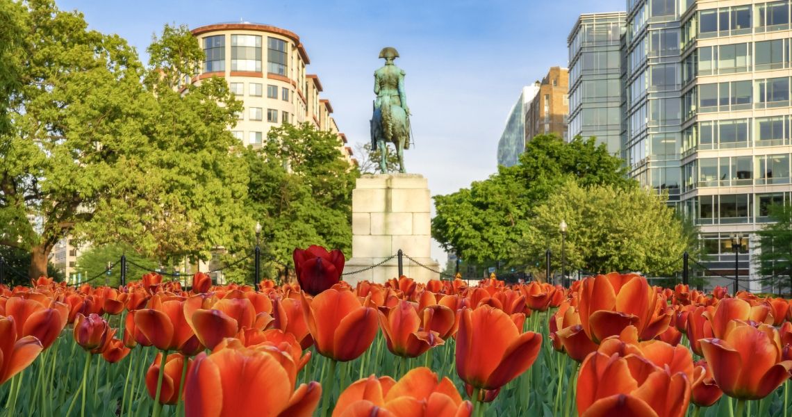 George Washington statue in a bed of tulips in Foggy Bottom